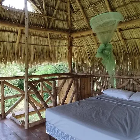 Palapa Hostel Transito Exterior photo