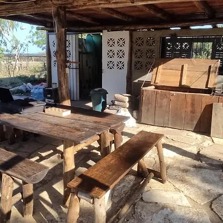 Palapa Hostel Transito Exterior photo