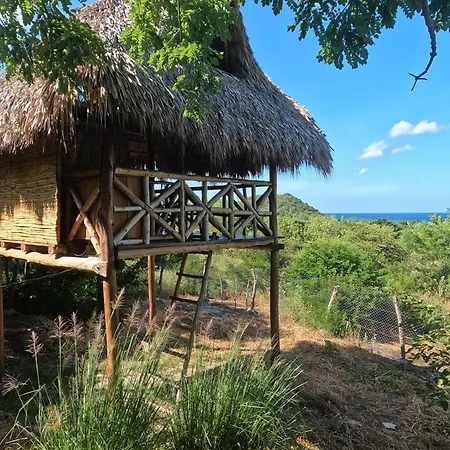 Palapa Hostel Transito Exterior photo