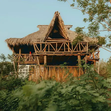 Palapa Hostel Transito Exterior photo