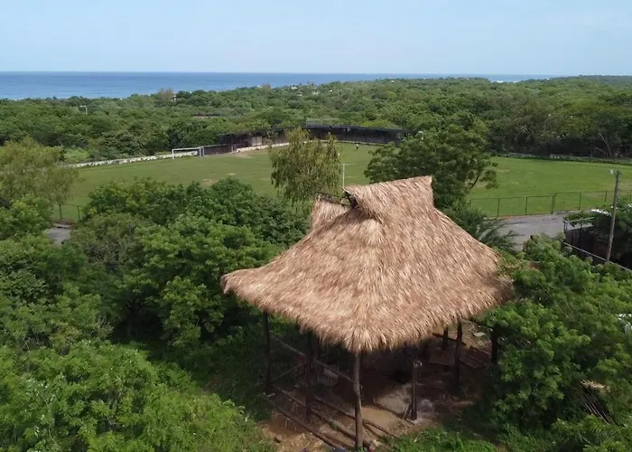 Palapa Host