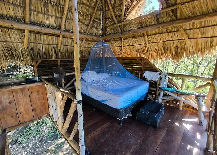 Palapa Host