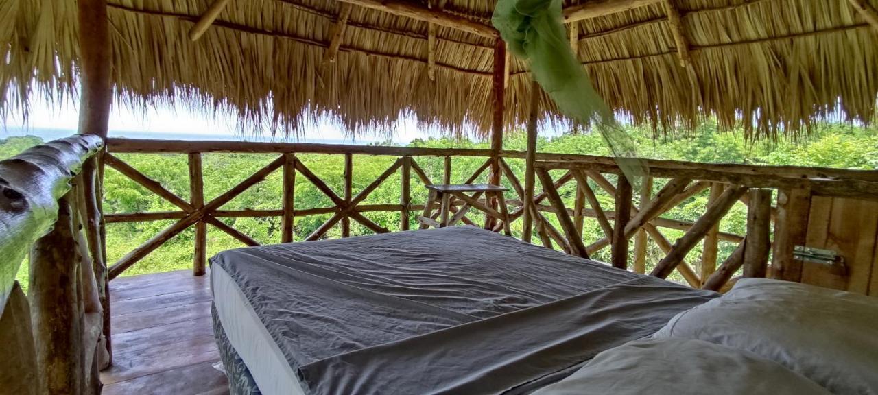 Campsite Palapa Host