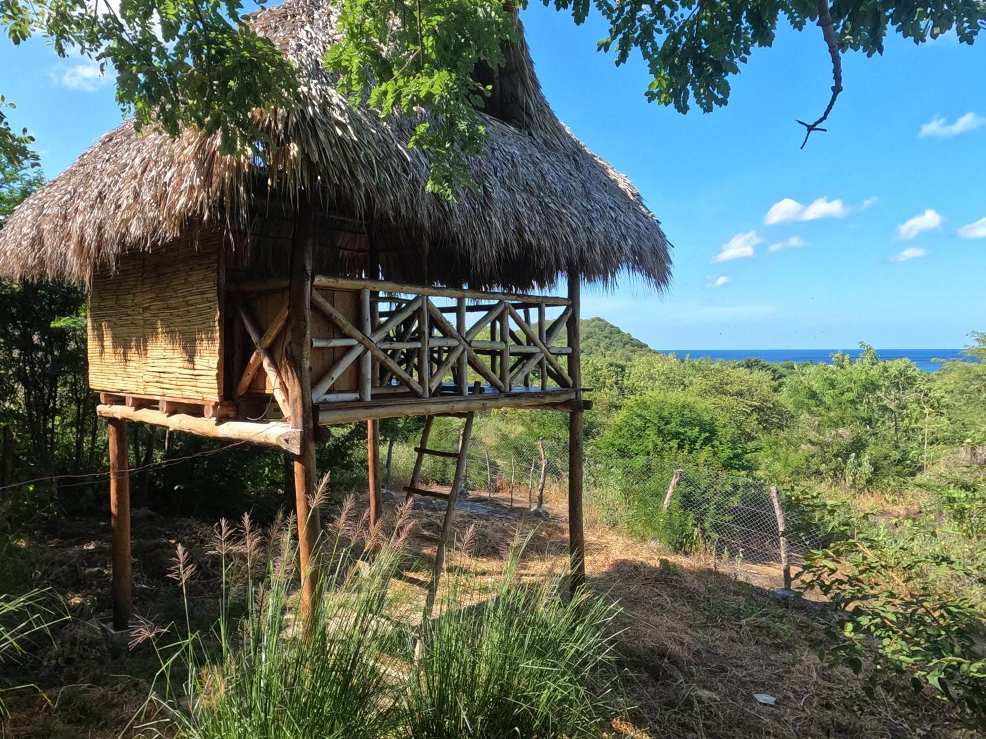 Palapa Host Transito