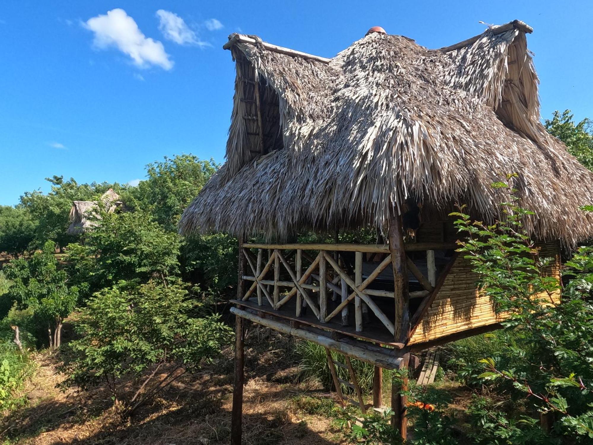 Palapa Host Campsite *