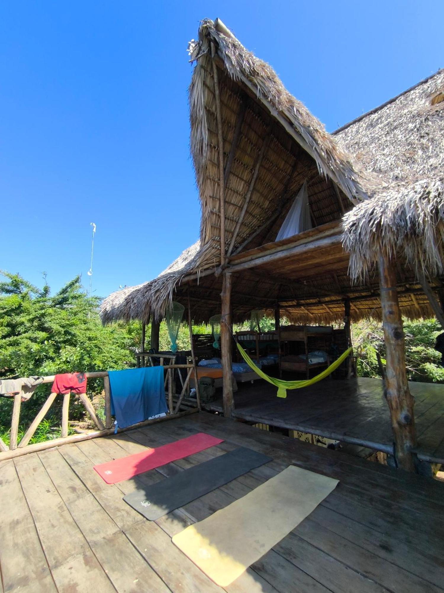 Palapa Host