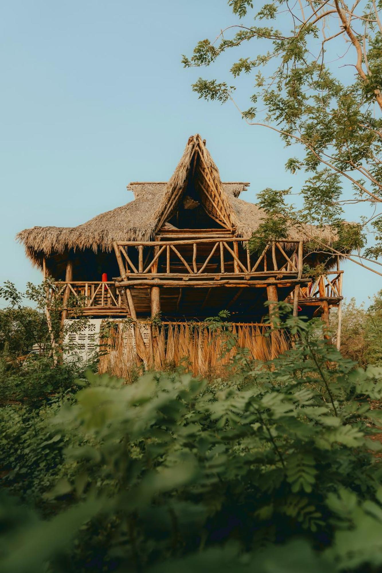 Palapa Host
